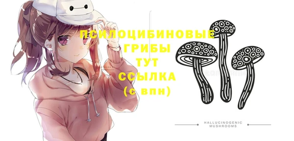 трава Белокуриха