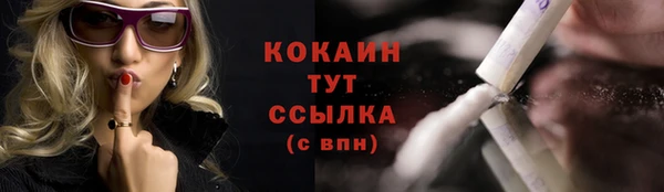 трава Белокуриха