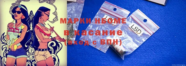 трава Белокуриха