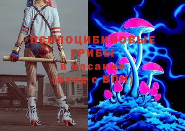 a pvp Беломорск