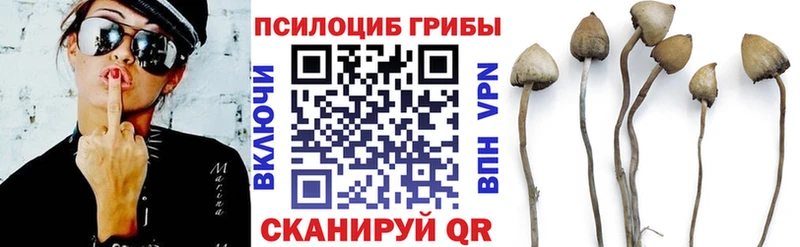 Псилоцибиновые грибы Psilocybine cubensis  купить   Яхрома 